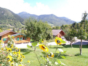 Chalet esprit Savoyard